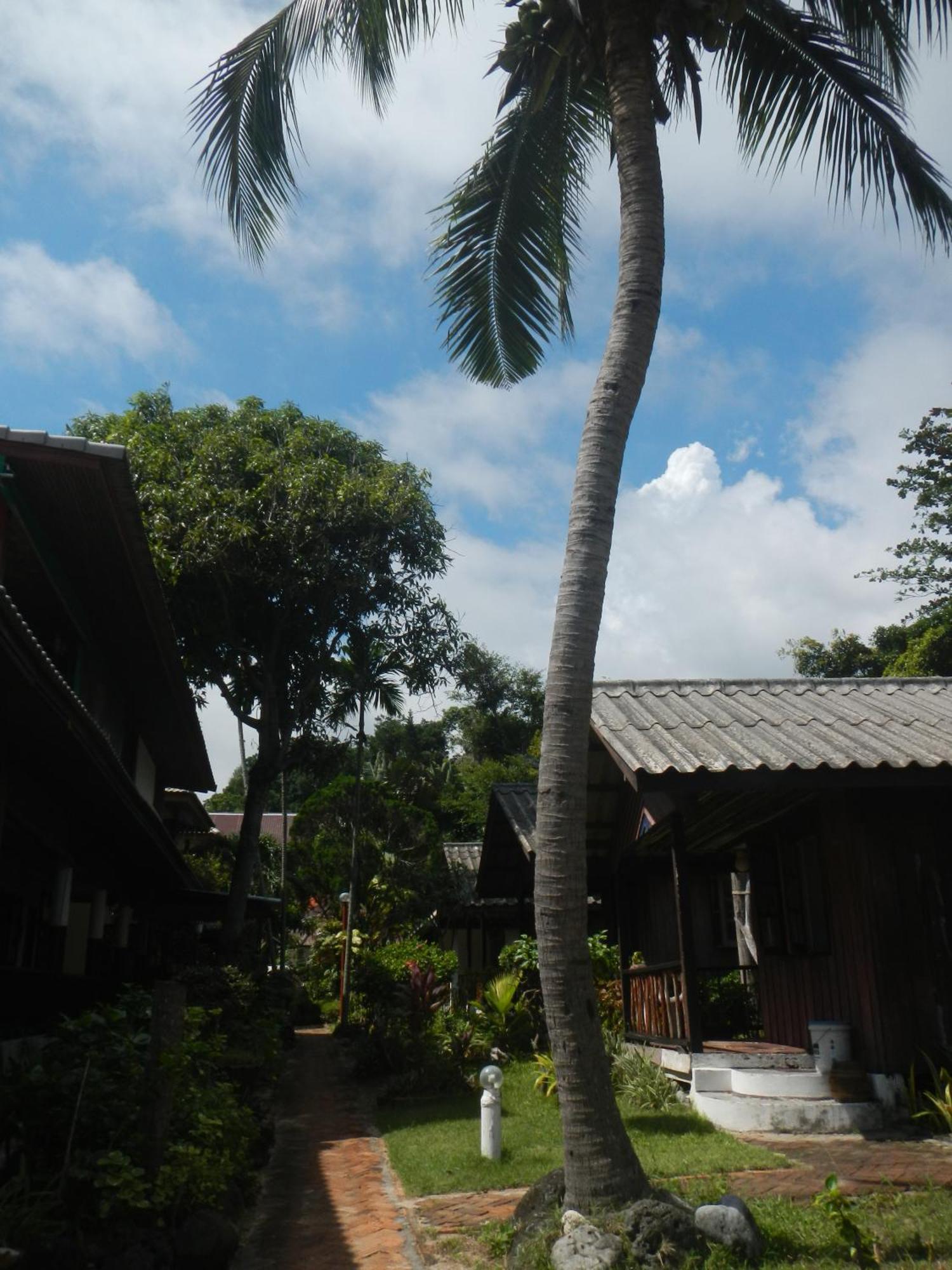 Sunrise Bungalow Lamai Beach  Exterior photo